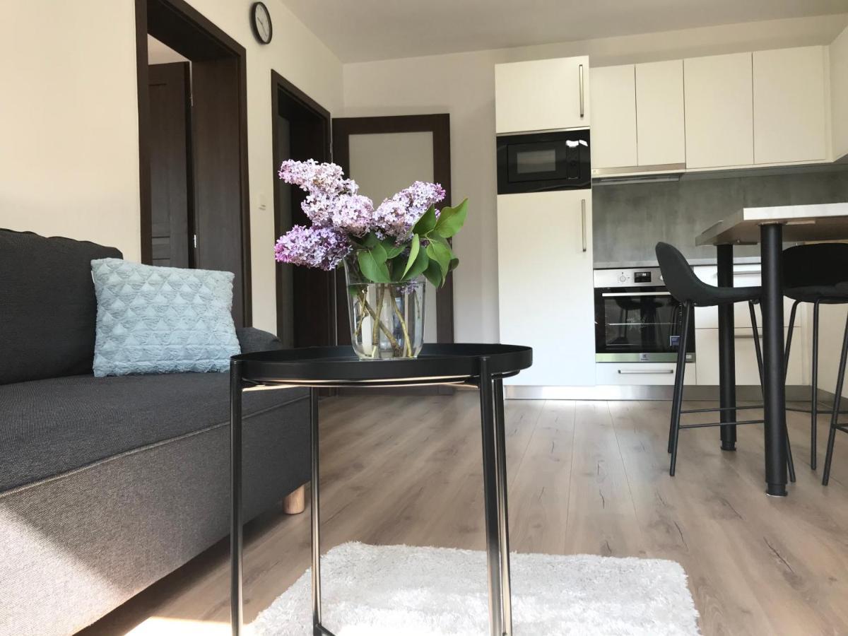 Apartmán NA KOPCI Krucemburk Esterno foto