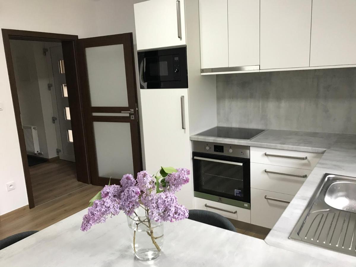 Apartmán NA KOPCI Krucemburk Esterno foto