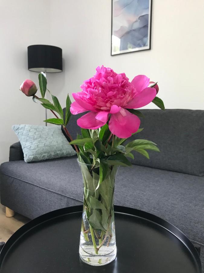 Apartmán NA KOPCI Krucemburk Esterno foto