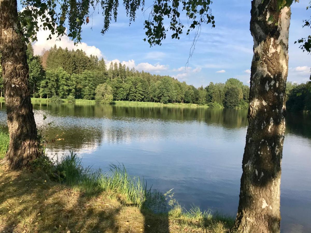 Apartmán NA KOPCI Krucemburk Esterno foto